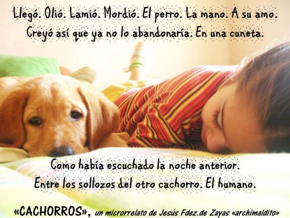 Cachorros