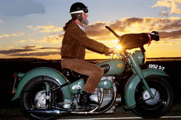 Man Riding Motorcycle with Cat