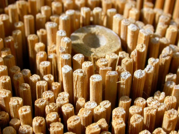 motif-05-1497445-640x480