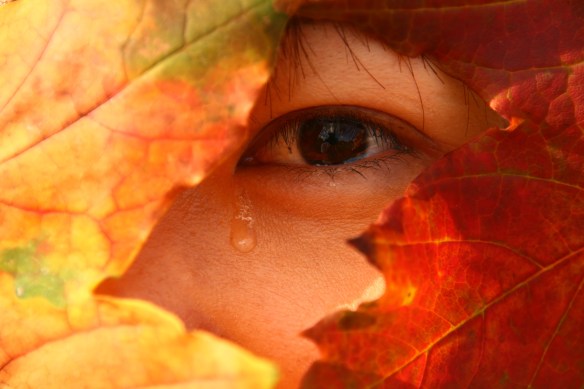 asian-autumn-3-1350156