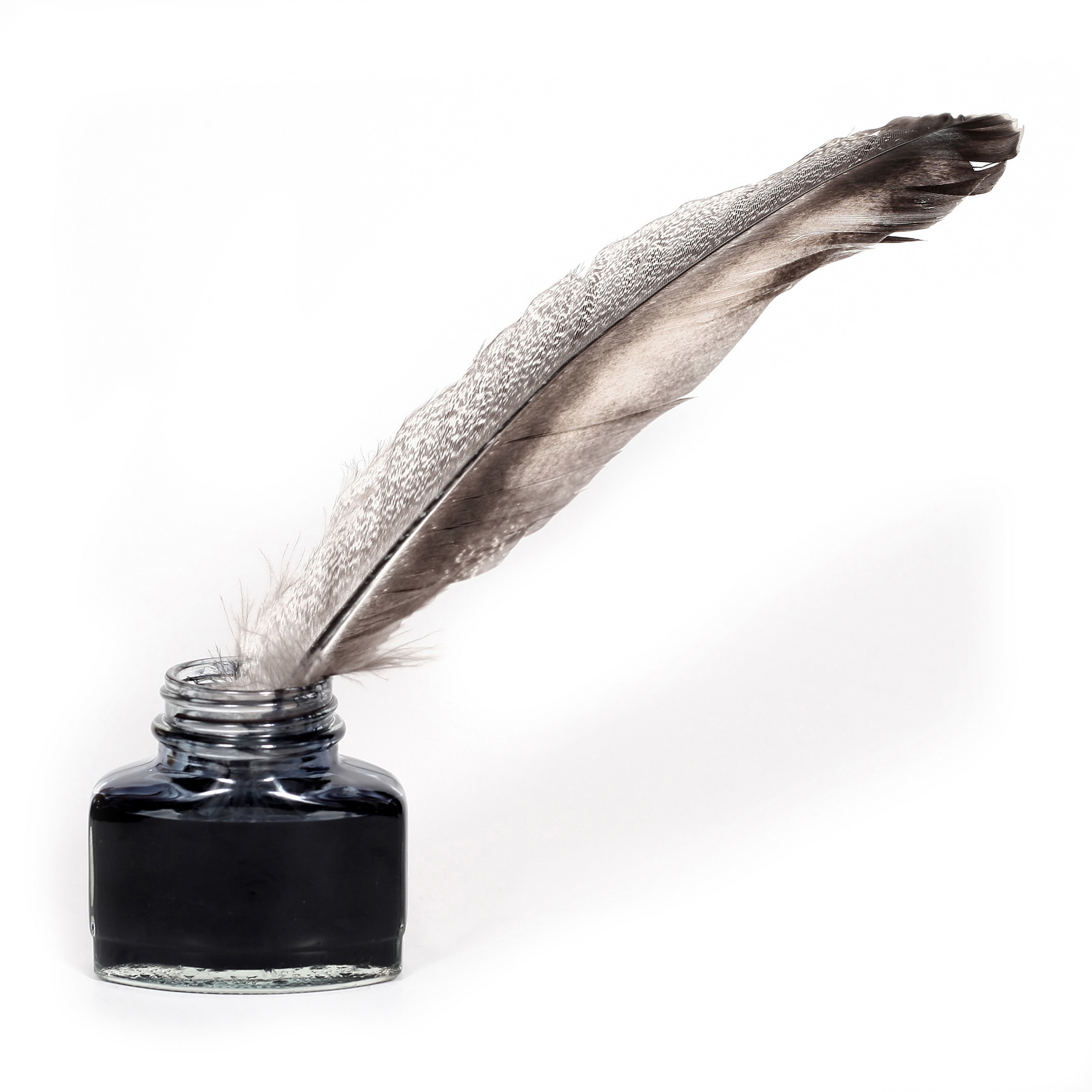 ink-pot-1209425