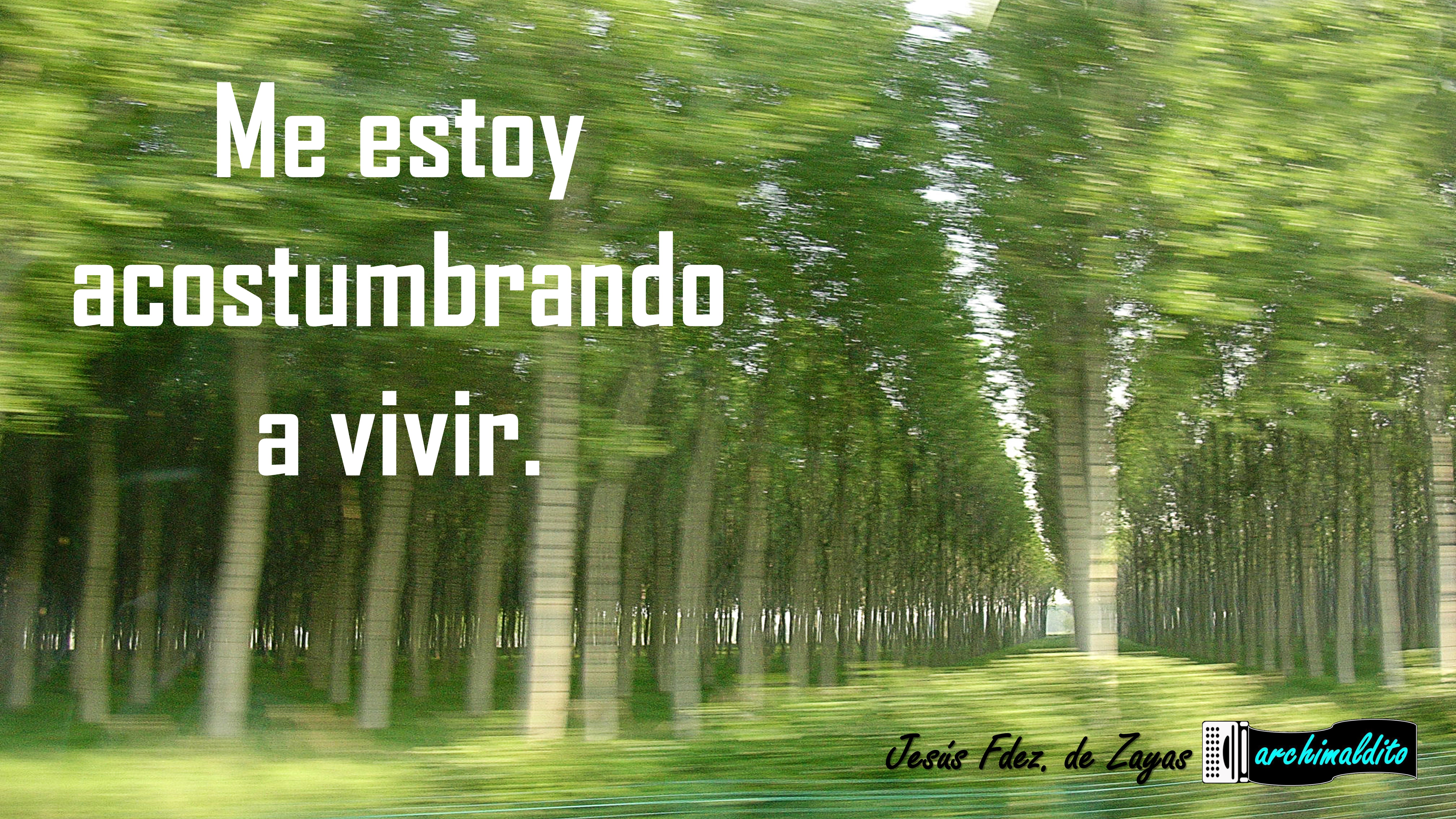 Me estoy acostumbrando a vivir