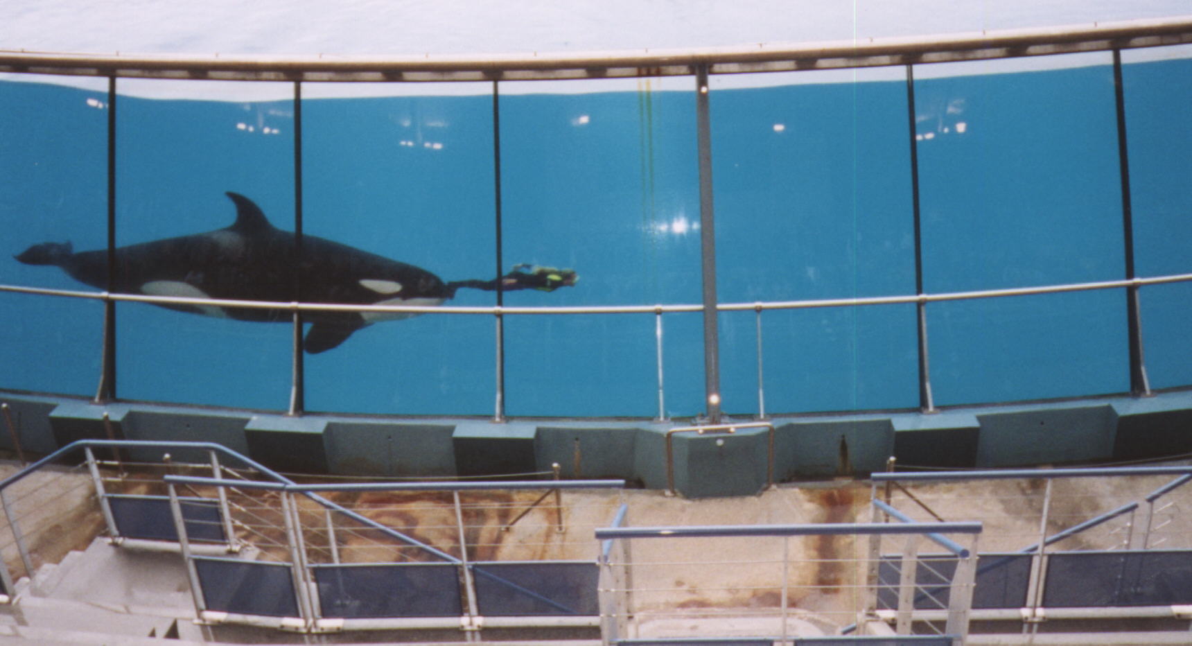 human-torpedo-1252873