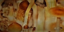 istockphoto-1029802004-1024x1024 (2)